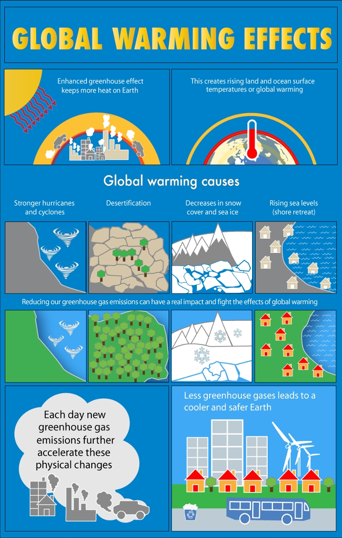 effects of global warming in the past 10 years essay