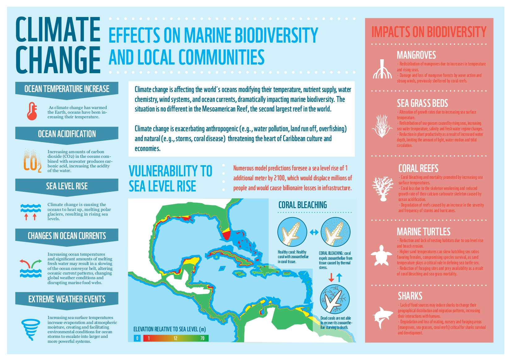 Climate Change Effects on Marine Biodiversity & Local Communities Bifrost